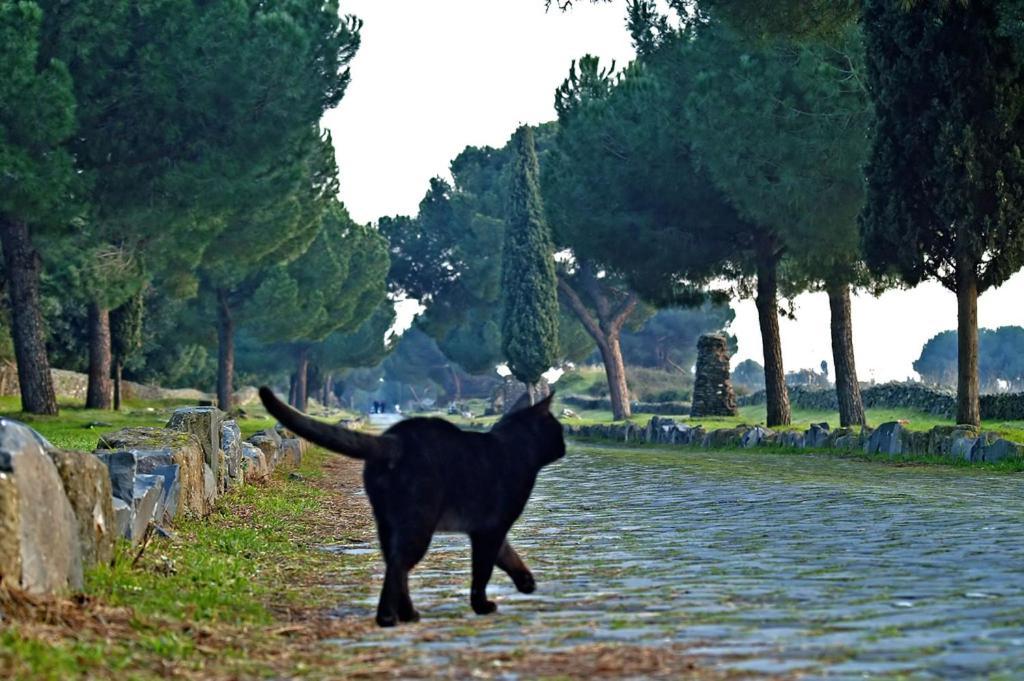 B&B Appia Felis Řím Exteriér fotografie